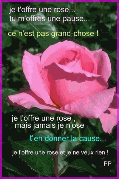  je t'offre une rose