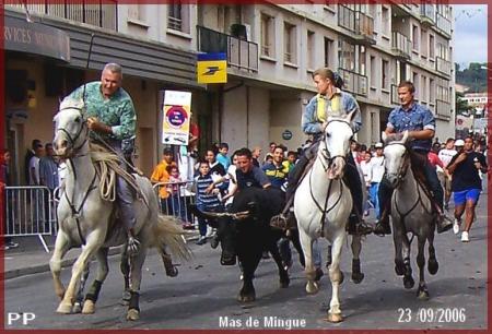 IL FAUT ATTRAPER LE TAUREAU qui court  entre les gardians...