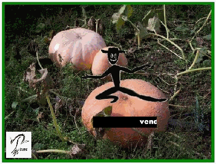 à cause d'Harry Potter j'avais omis de parler de nos courges personnelles