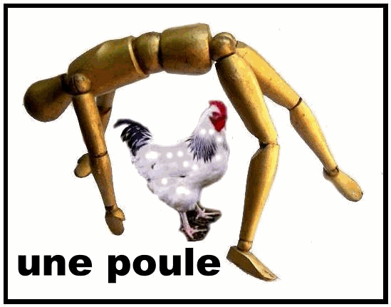  ON PEUT ENCORE SAUVER NOS POULES !