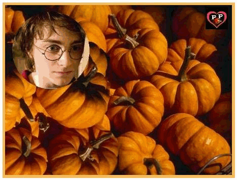 POTTER  ! POTTER  !! toujours Potter  !
