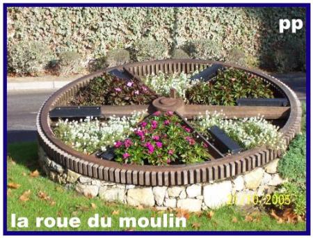 utilisation écologique de la roue du vieux moulin à huile