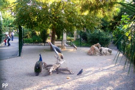 animaux du parc Phénix