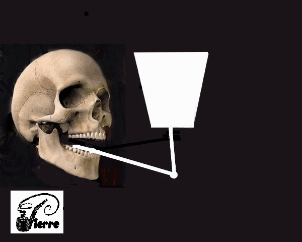   tu fumes, tu meurs !