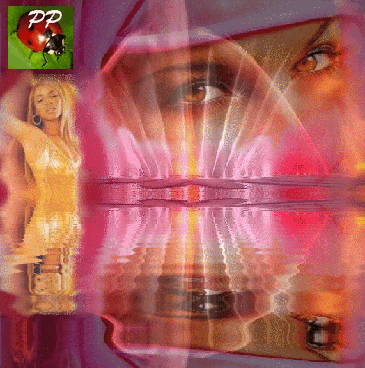  le rêve est fait des réalités filmées par notre imagination...