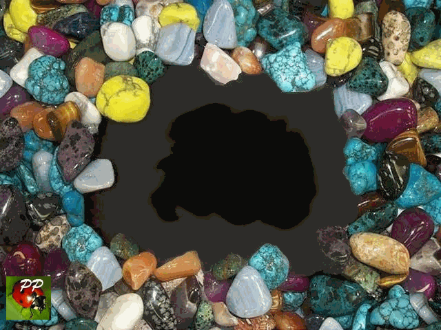  le g&eacute;nie et la folie