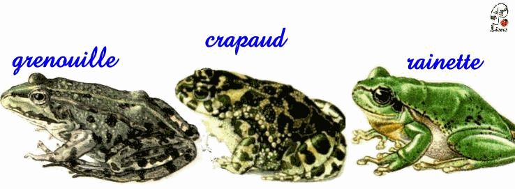  poème