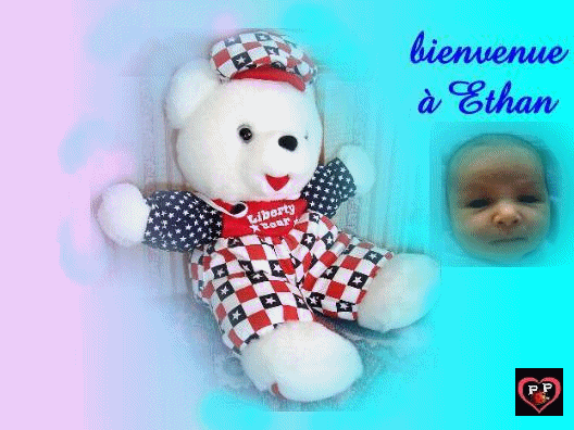  la grande famille des petits-cousins ne cesse de  s'agrandir..