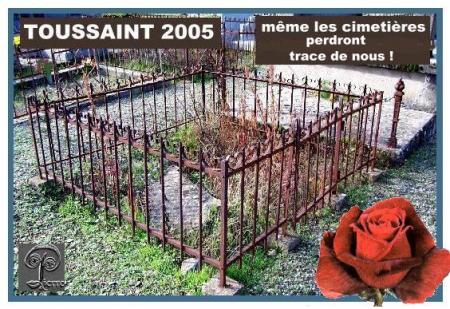  UNE ROSE POUR  l'inconnu(e) du cimetière...