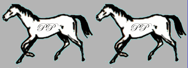   petit trot