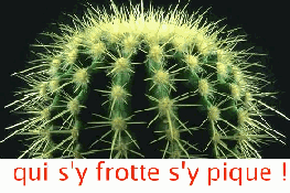  la politique :un machin qui pique...