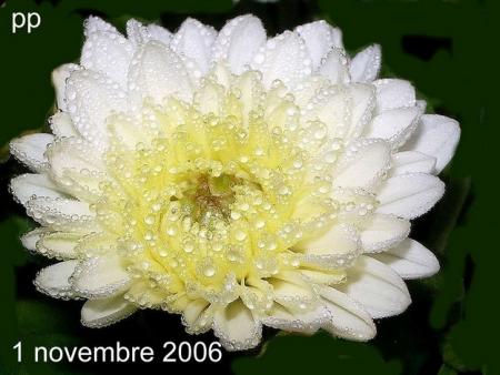 1 novembre 2006