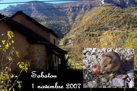 rencontre sous le châtaigner