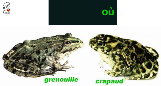  LA Nature a créé les 