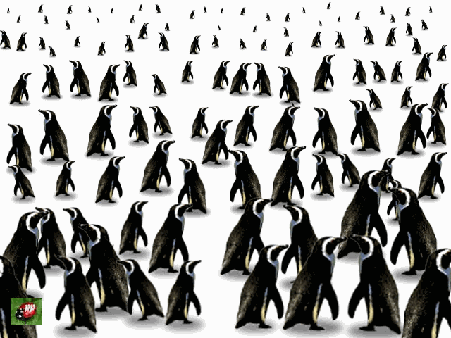  il est tout seul &agrave; s'agiter... et il veut sauver la banquise...qui fond...